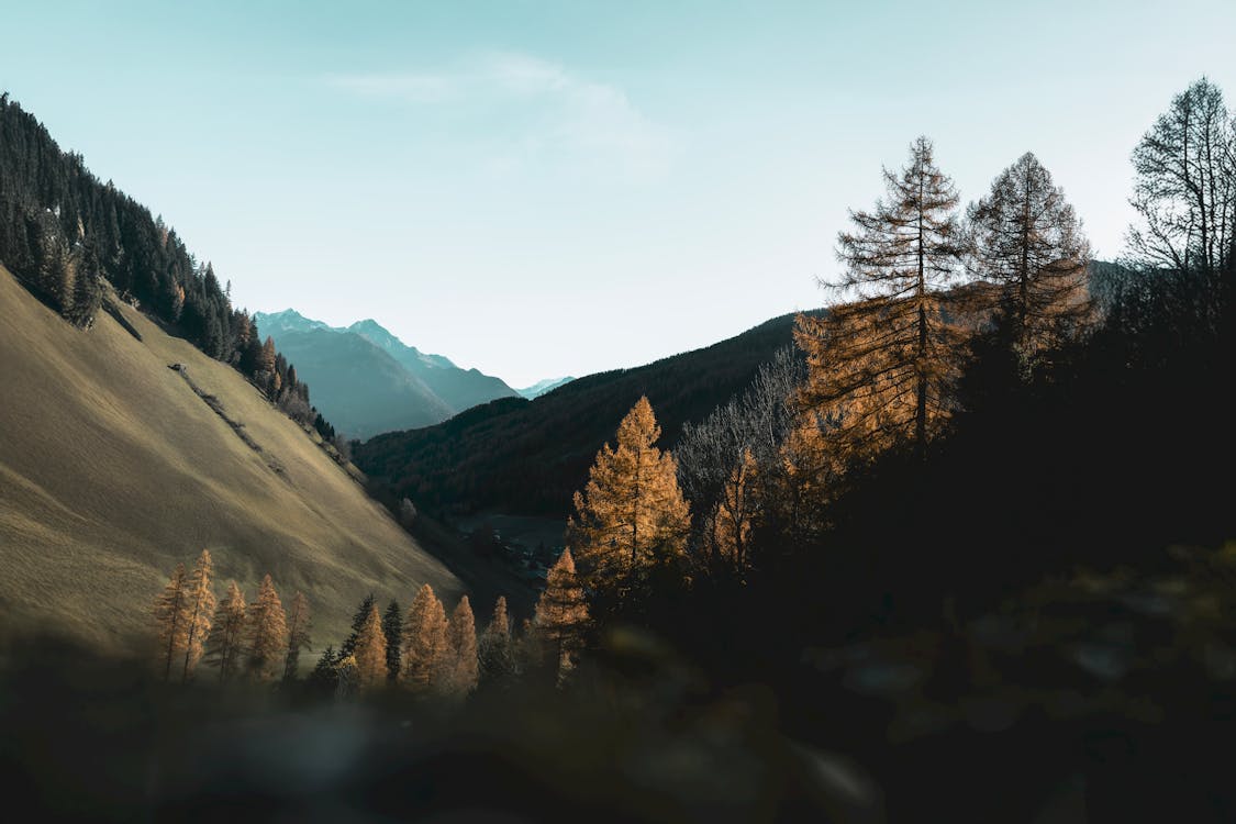 Stk Design Library Image 6